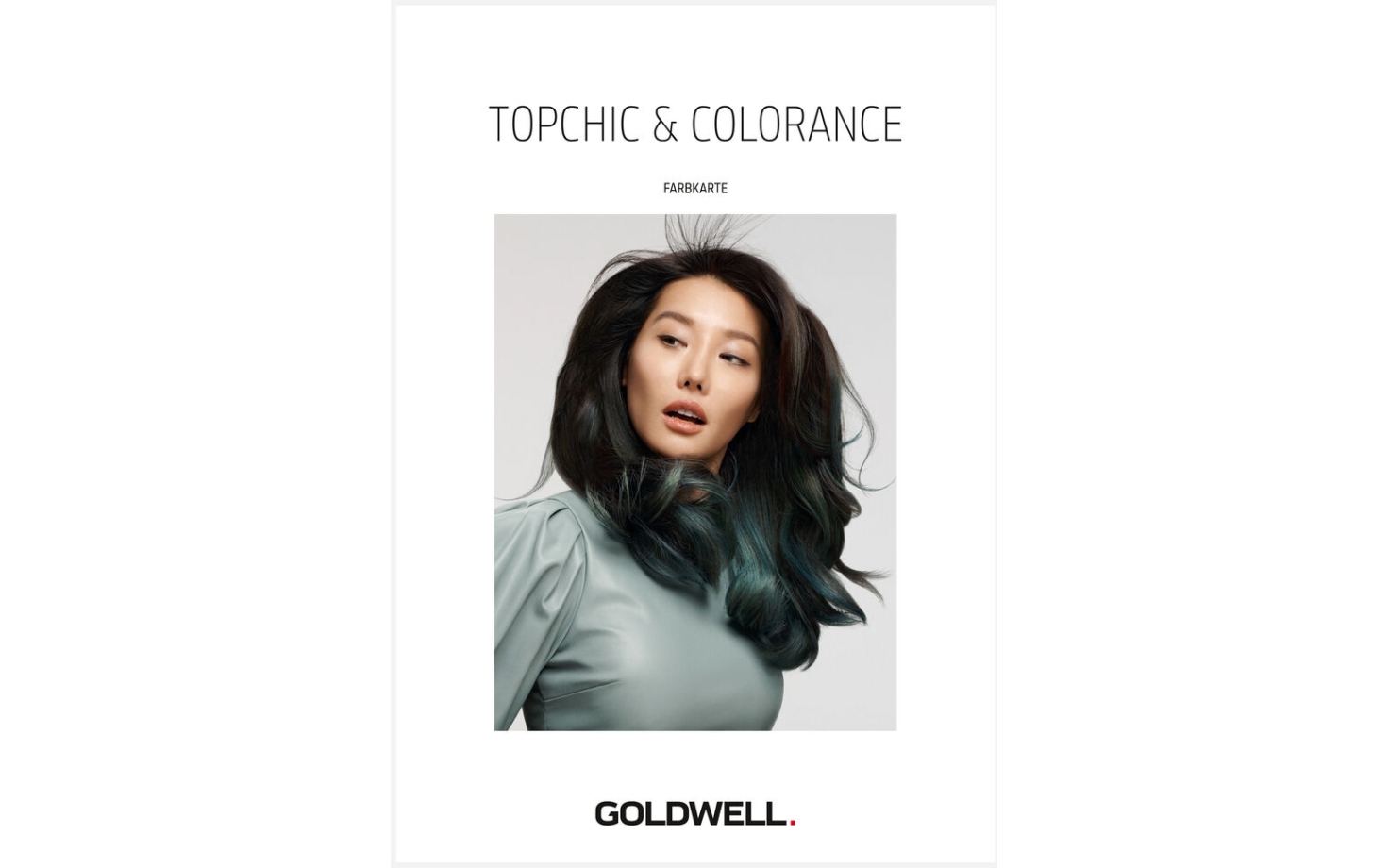 Goldwell Topchic Color Farbkarte inklusive Highlif...