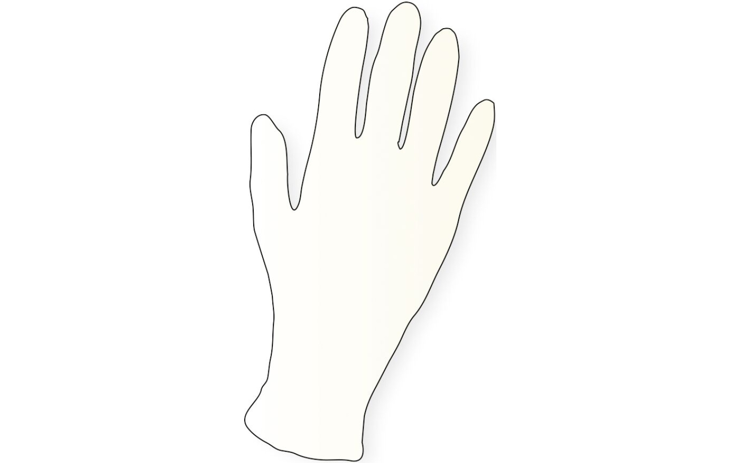 Efalock Vinyl-Handschuhe 100er gepudert