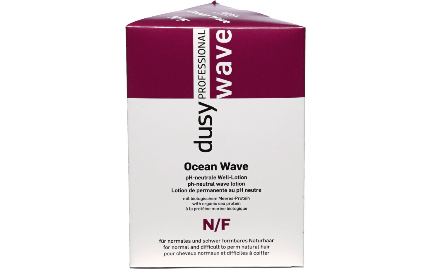 Dusy Ocean Wave