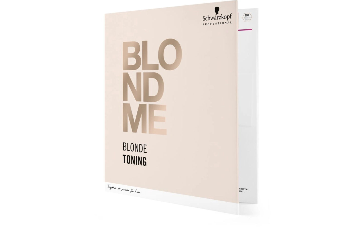 Blondme Farbkarte 2017
