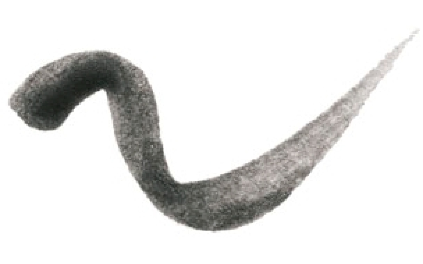 Eyeliner Dipliner