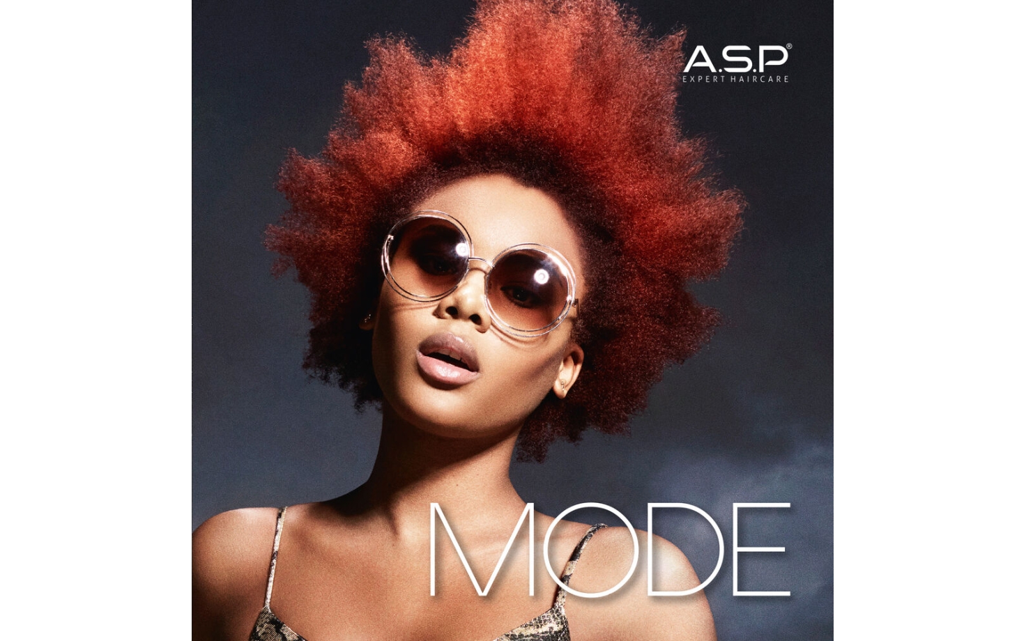 A.S.P Styling Consumer Brochure