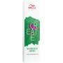 Color Fresh Create 60 ml Neverseen Green
