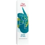 Color Fresh Create 60 ml Super Petrol