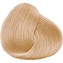 Experience Sunblond 12.2 Pearl Blond