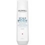 Dualsenses Scalp Specialist Deep Cleanse Shampoo 250 ml
