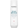 Dualsenses Scalp Specialist Anti-Dandruff Shampoo 250 ml