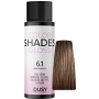 Dusy Color Shades Gloss 6.1 dunkelblond asch