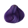 Dusy Color Injection 115 ml Violet