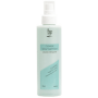 Peggy Sage Hygiene-Spray 125 ml