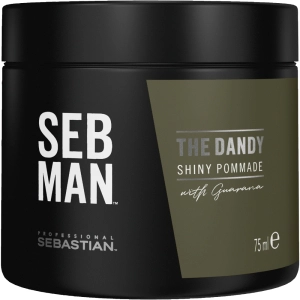 SEB MAN The Dandy Shiny Pommade