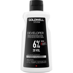 System Developer