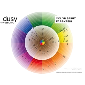 Color Spirit gedruckter Farbkreis